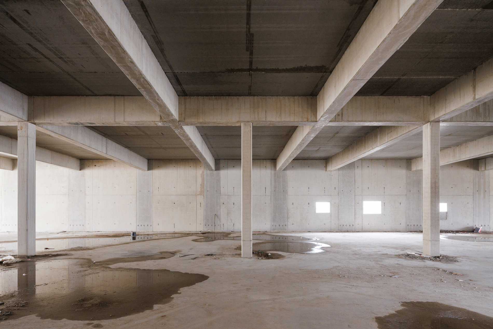 GJL+ Freie Architekten, Rheinlandhallen Krefeld, Dach, Foto: Kai Ostermann